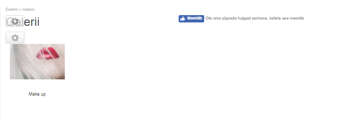 kuidas teha e-poodi - galerii lisamine