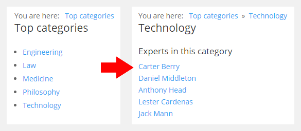 Displaying the list of experts assigned to categories - WordPress Q and A Plugin