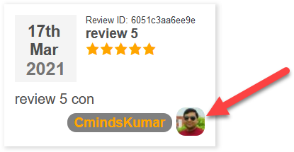 Displaying user gravatar - Customer Review Plugin for WordPress