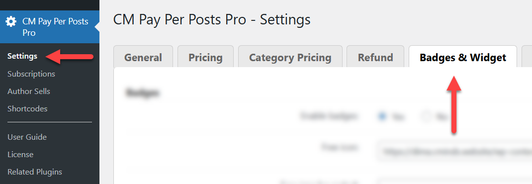 Navigation to the plugin settings - Paywall Plugin WordPress