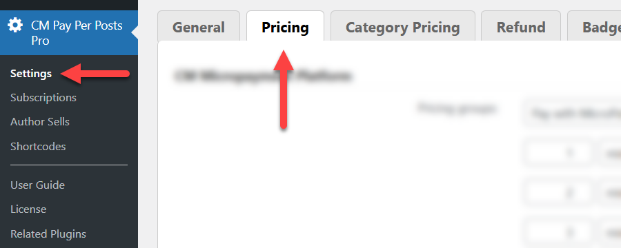 Pricing settings - WordPress Plugin Paywall