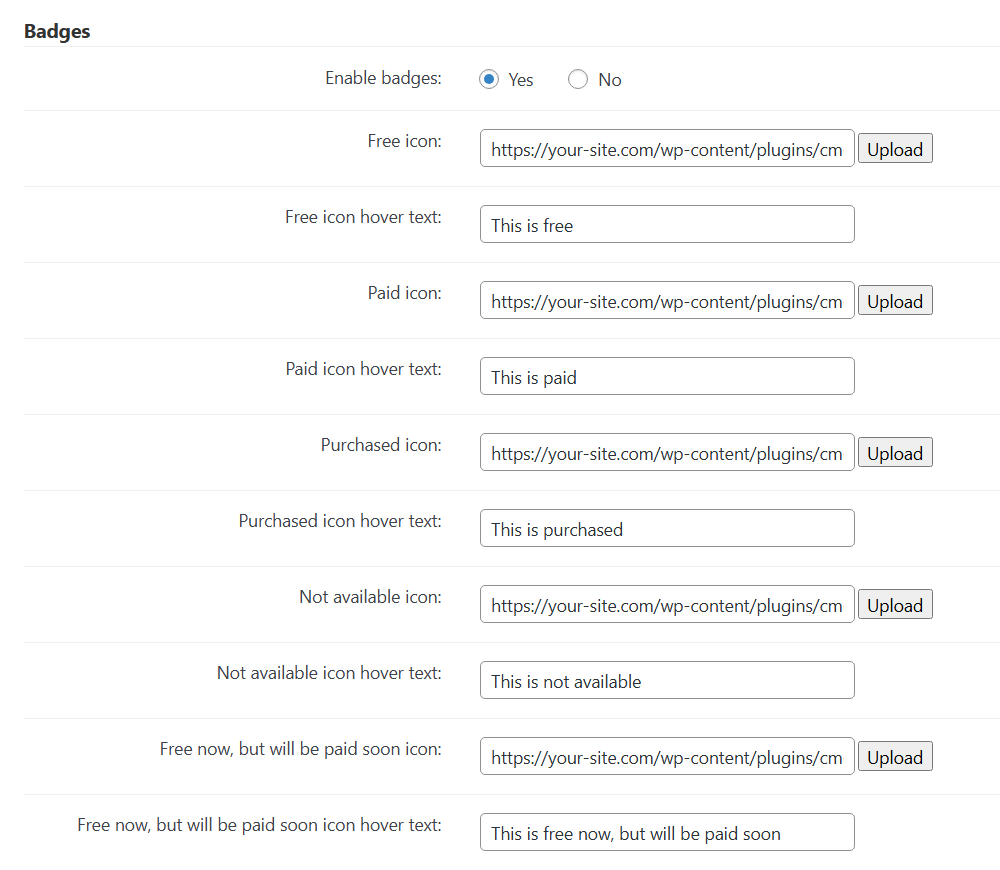 Badges settings - Paywall Plugin WordPress