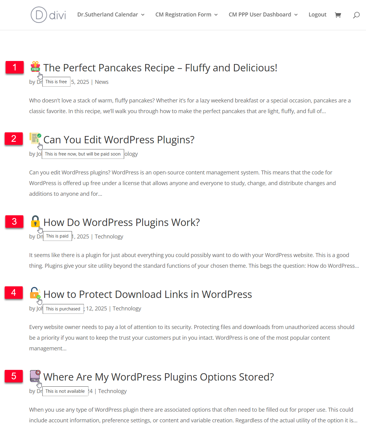 Front-end example - WordPress Plugin Paywall