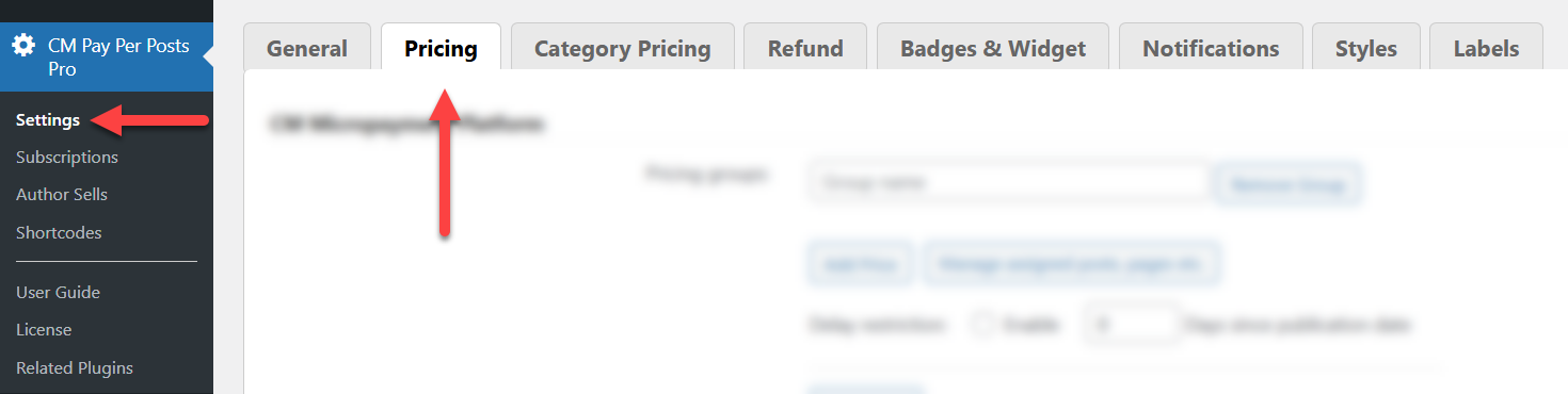 Pricing settings - WordPress Paywall Plugin