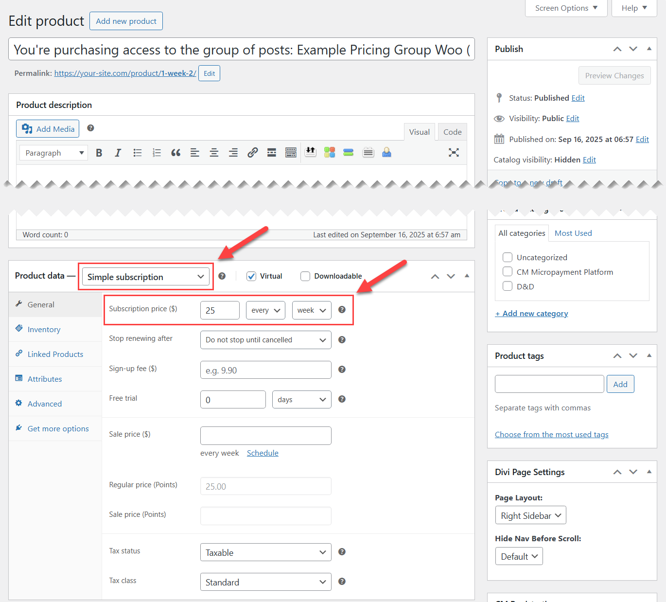 WooCommerce product details - Best Paywall Plugin for WordPress