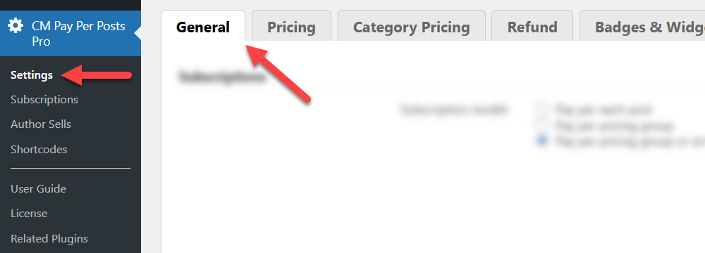 Navigation to the plugin settings - Paywall Plugin WordPress