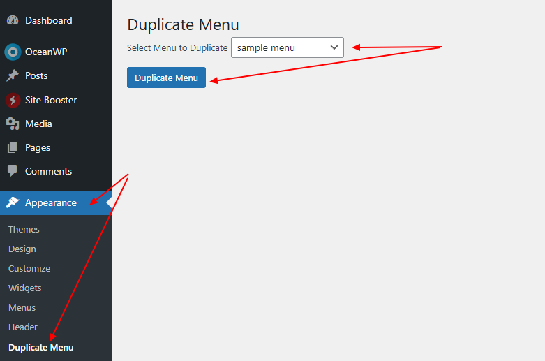 duplicate WordPress menus with Site Booster options preview