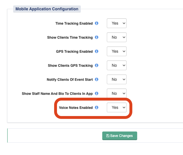 voice notes enabled setting