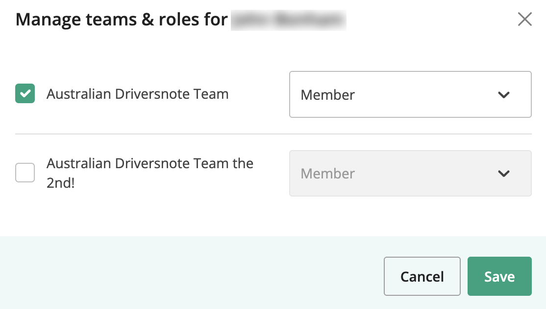 Team member manage teams and roles