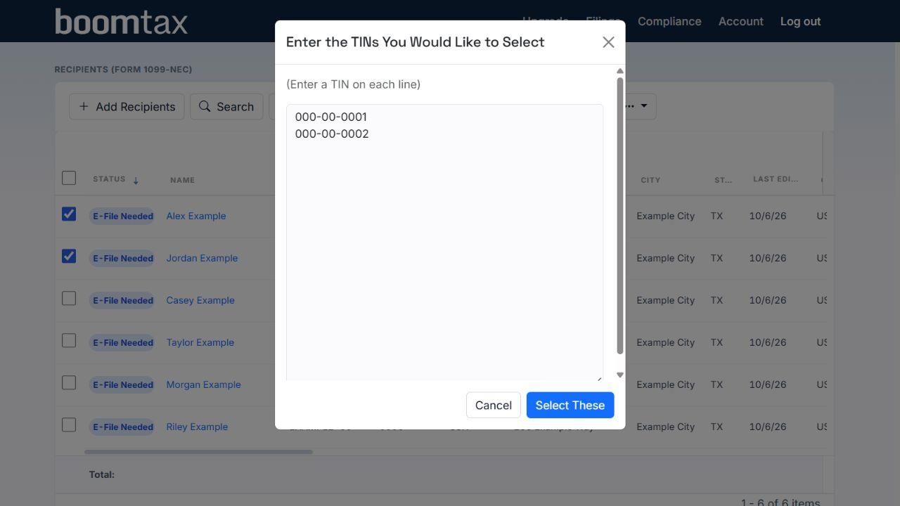 Example BoomTax screenshot of the TIN selection modal showing one full synthetic TIN per line and the Select These button.