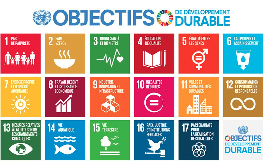 Poster des 17 objectifs du développement durable (ODD) - Source ONU