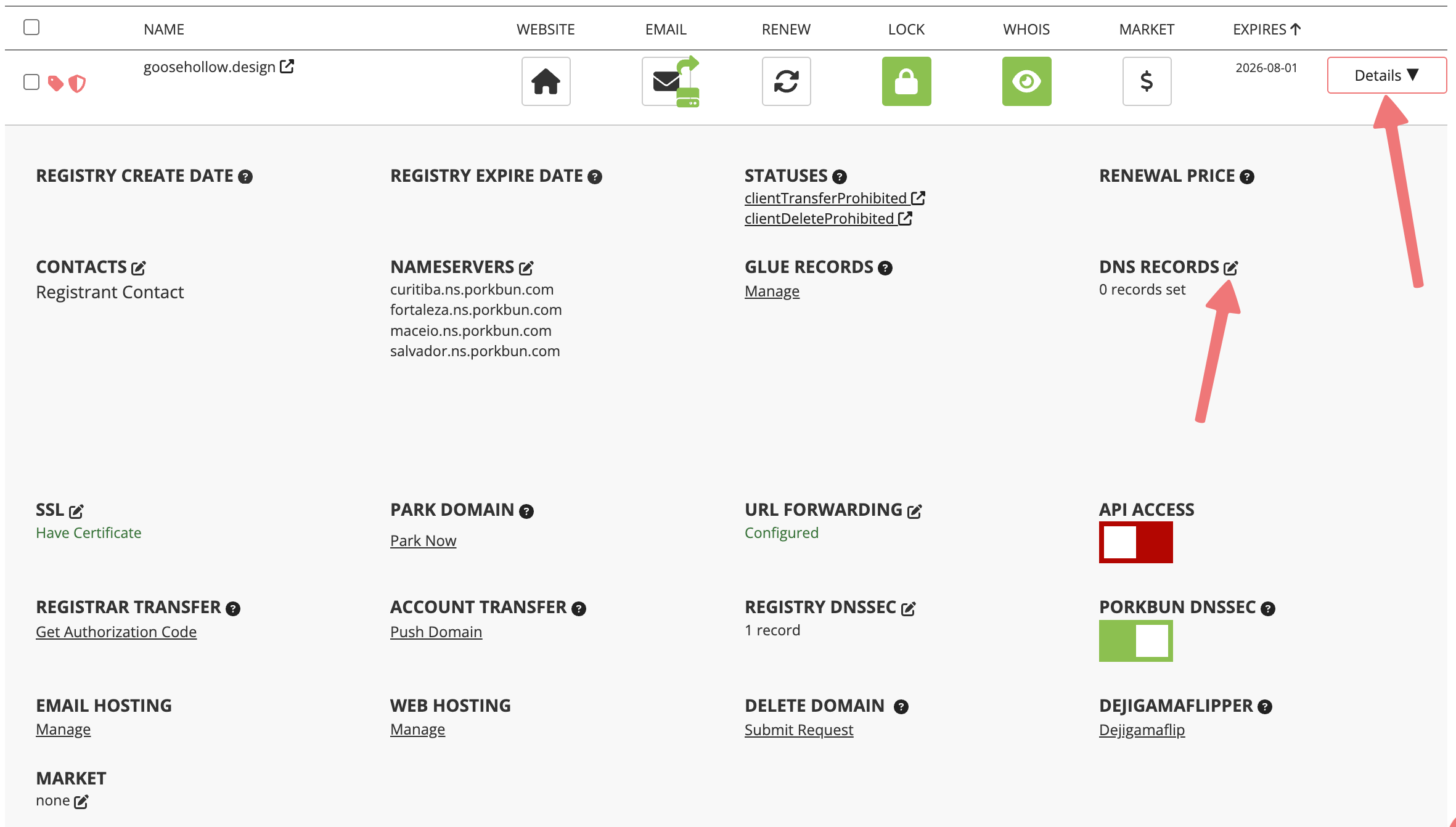 DNS records option in domain details menu