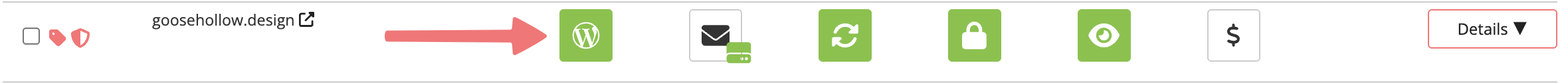 WordPress hosting page option in domain management