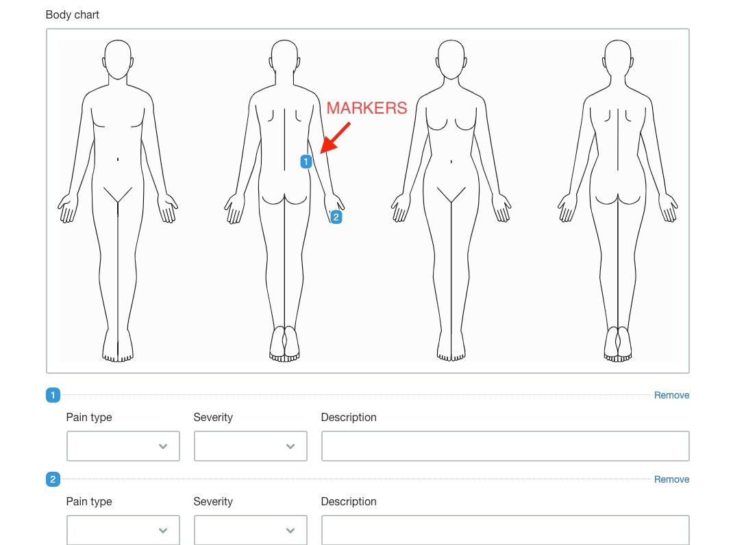 Add body charts to your web form - Hushmail Help