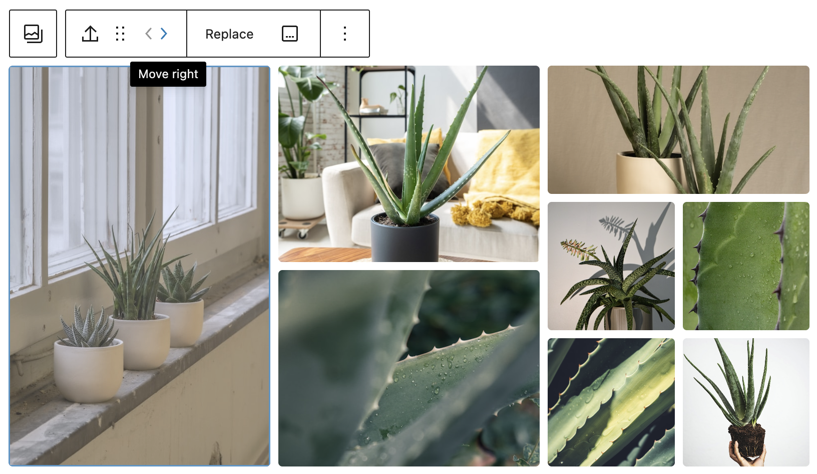 Mai Grid Gallery - Knowledge Base