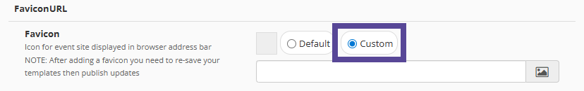 Image outlining the button labelled custom, to allow you to upload a favicon. 