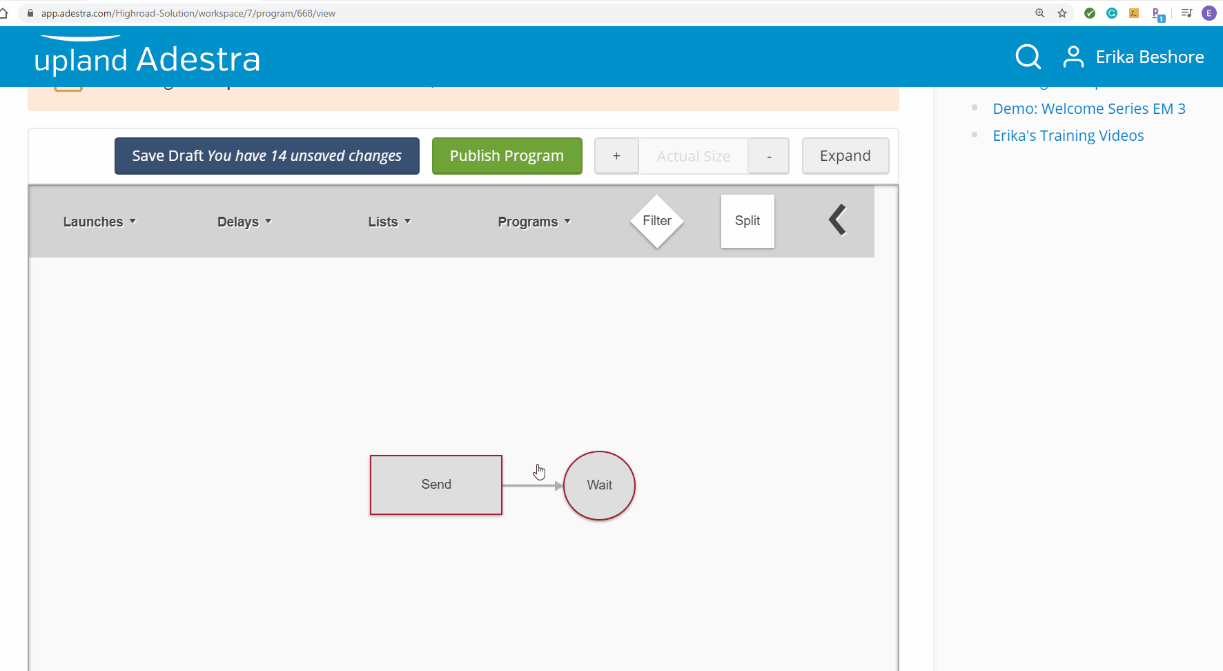 Automation Based Program - Adestra Message Focus