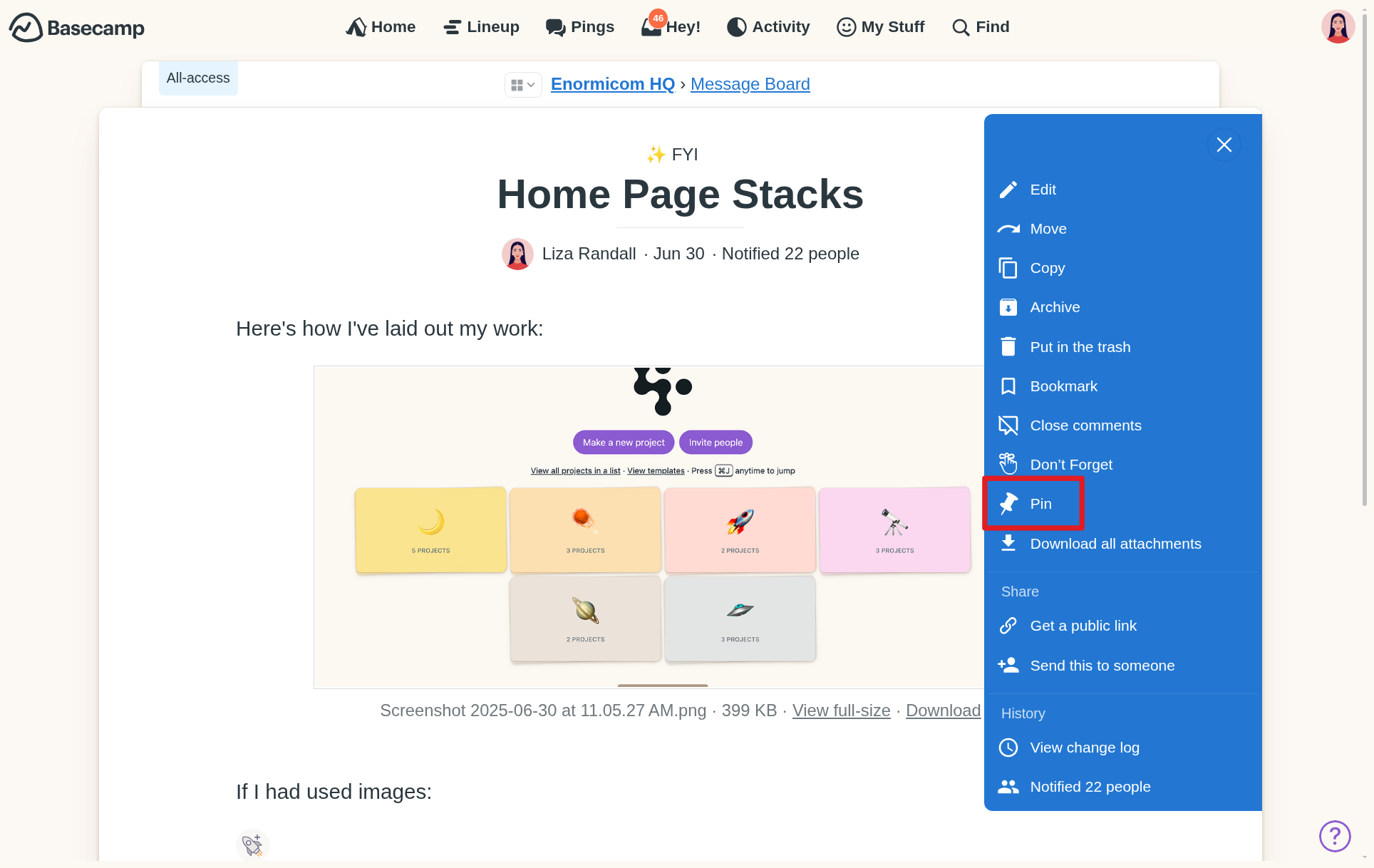 Screenshot of a red box outlining the pin option