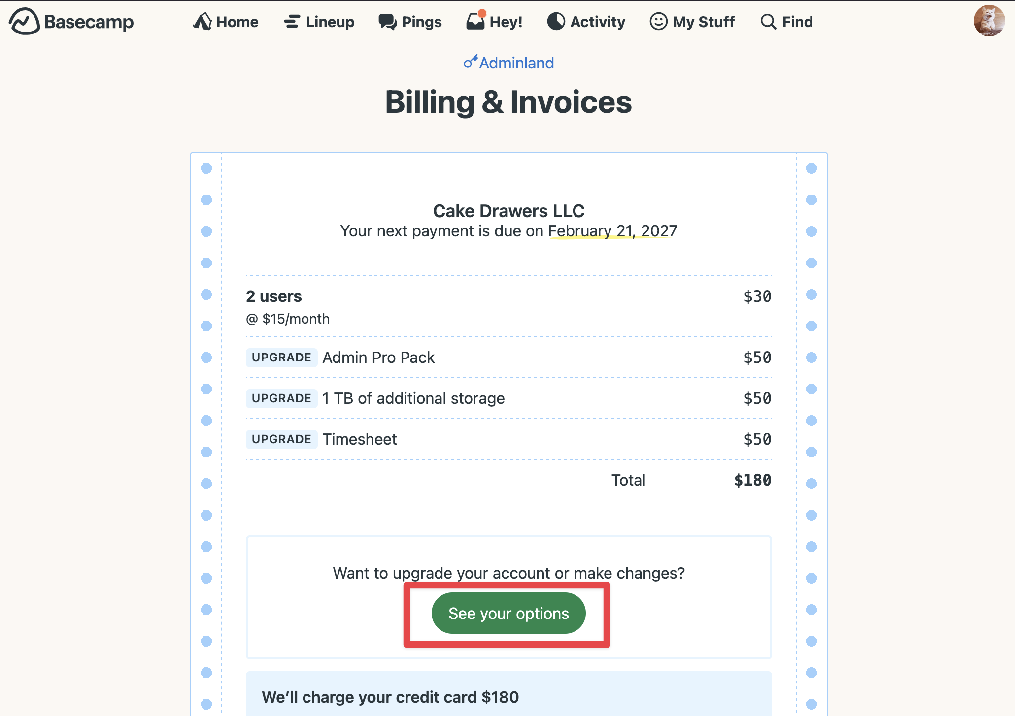 Screenshot of the See your options button on the Handle billing, invoices, packages, and upgrades page.