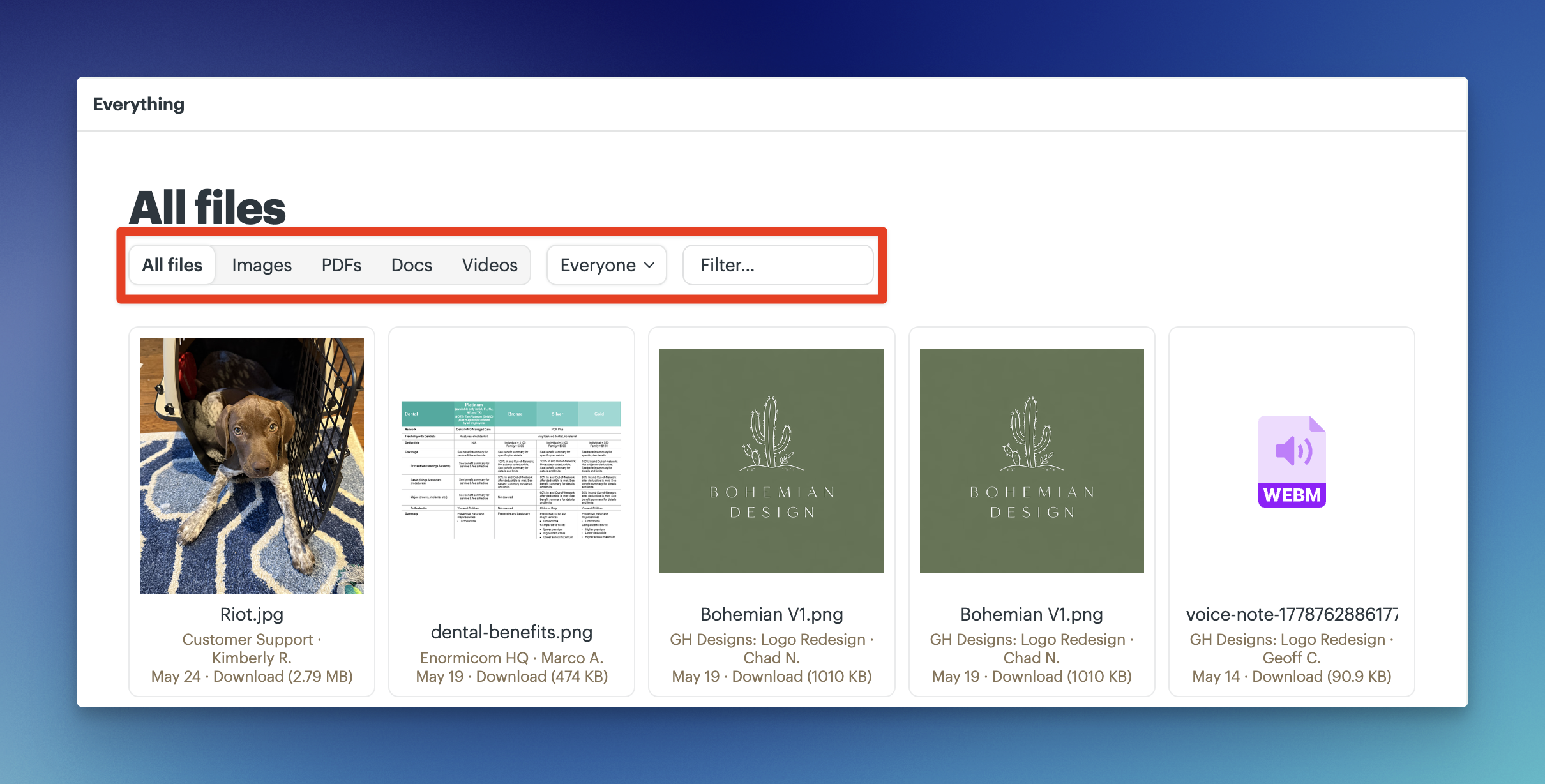 a screenshot of the all files everything page with a callout to the filtering options