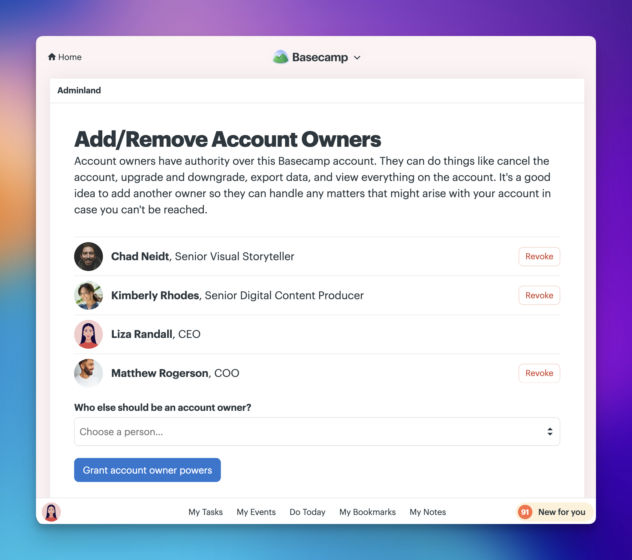 Add/remove account owners page showing the current owners list and the Choose a person field