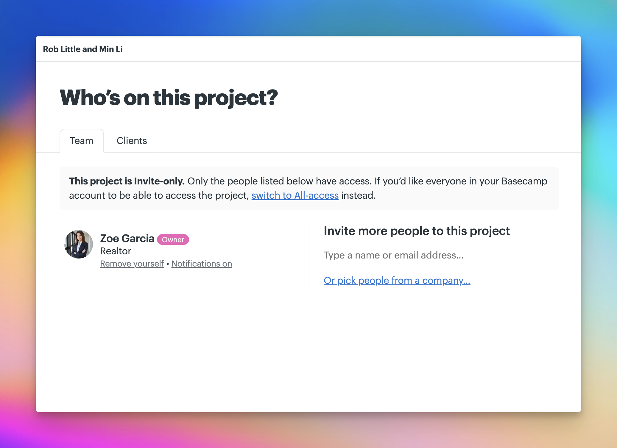 Screenshot of a project access' Team tab.