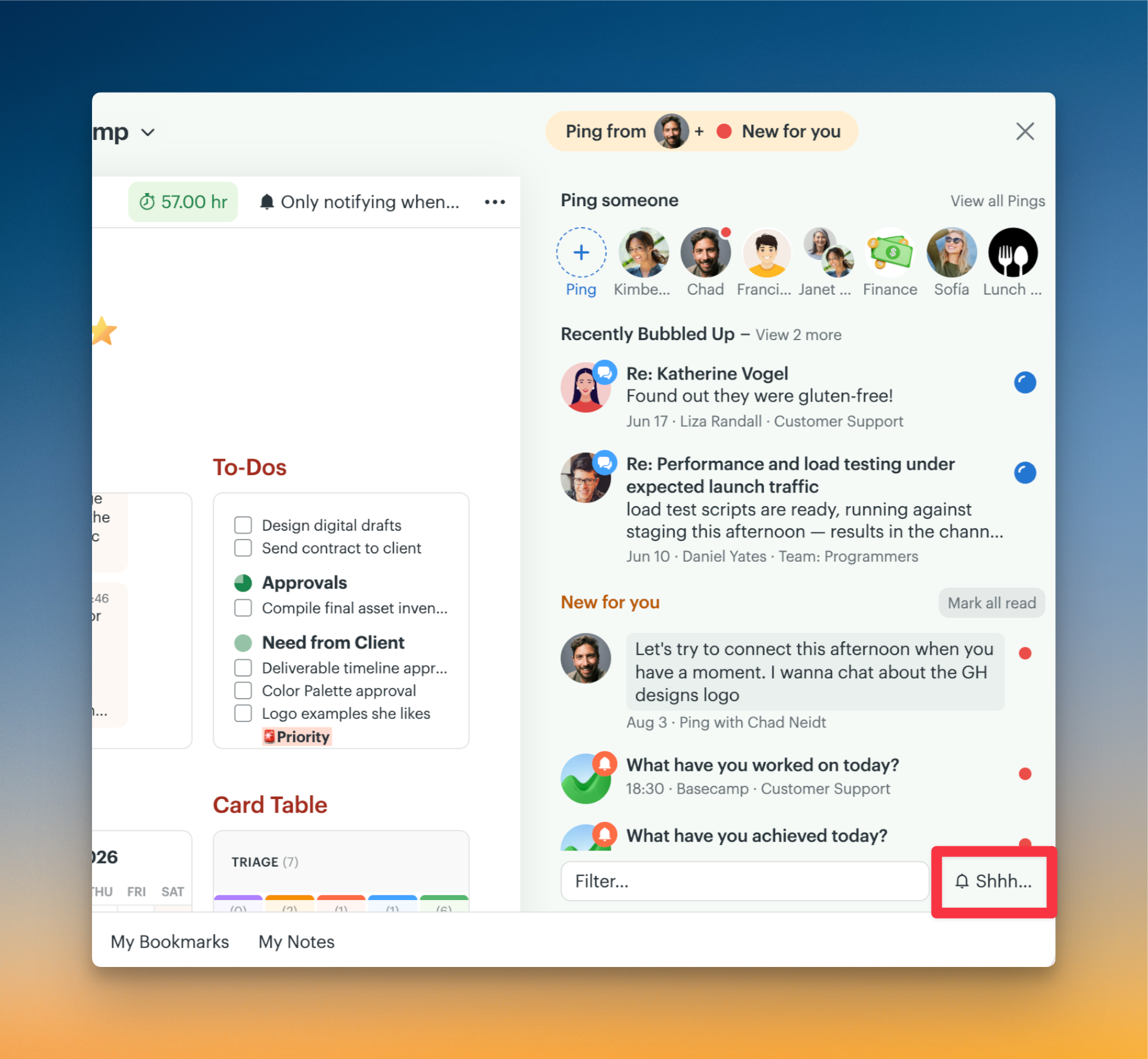 Screenshot of a project with the notification sidebar opened, The Shhh... is outlined in a red box.