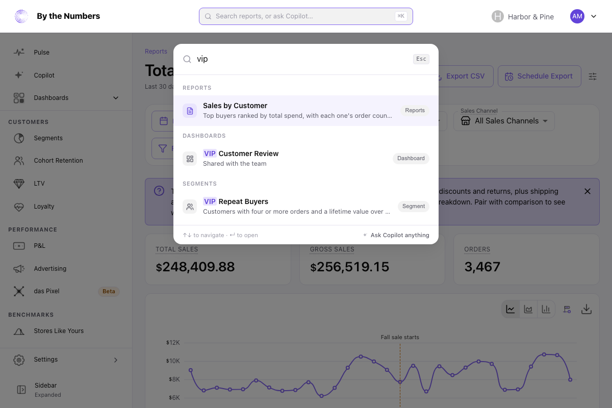 The search box open over a page, with matching reports, dashboards and segments listed in groups