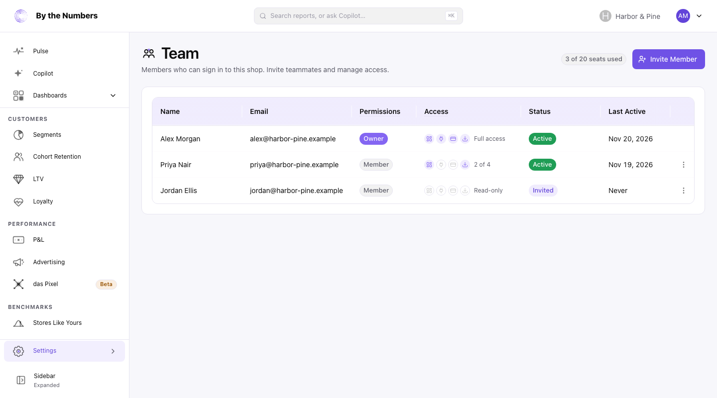 The Team page listing the owner and two members, with their access, status and last active date