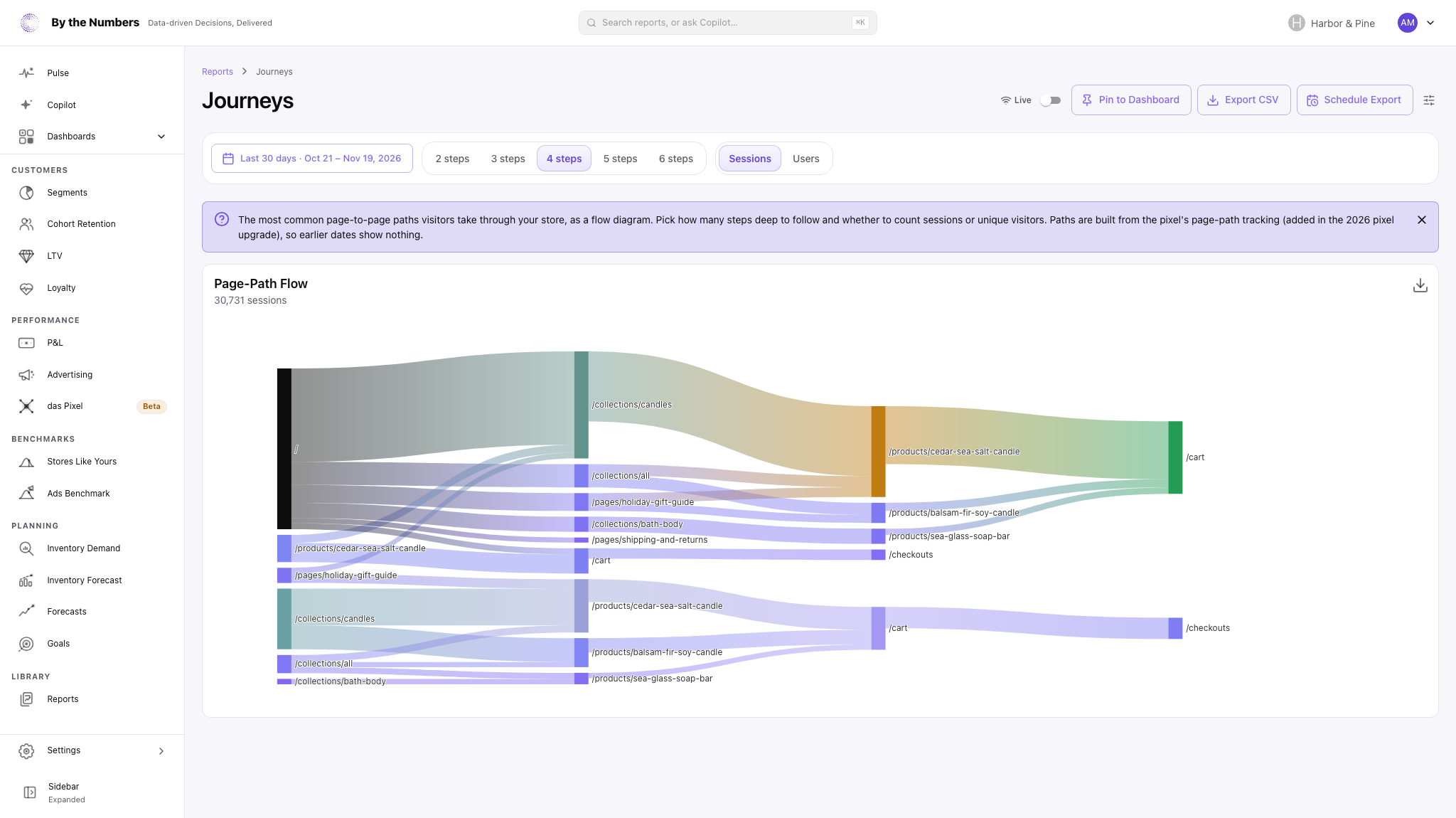 The Journeys report, a flow diagram titled Page-Path Flow with columns of pages joined by bands whose width shows how many sessions took each path.