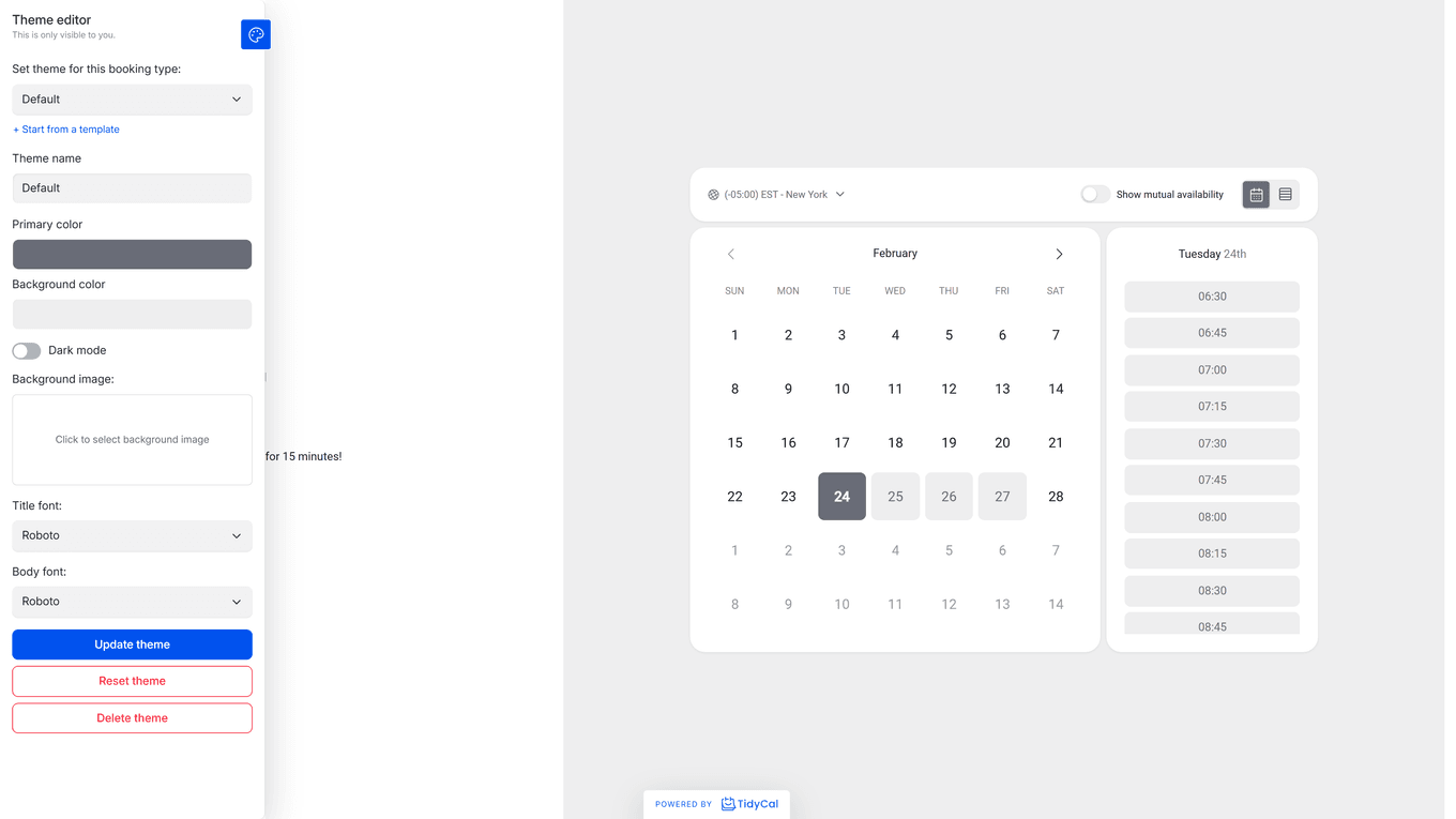 TidyCal theme editor panel with color background font settings alongside booking page preview