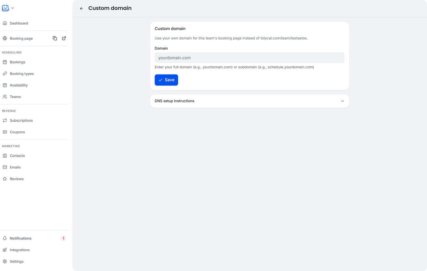 TidyCal team Custom domain page showing Domain field placeholder, Save button, and DNS setup instructions section for the team's booking page