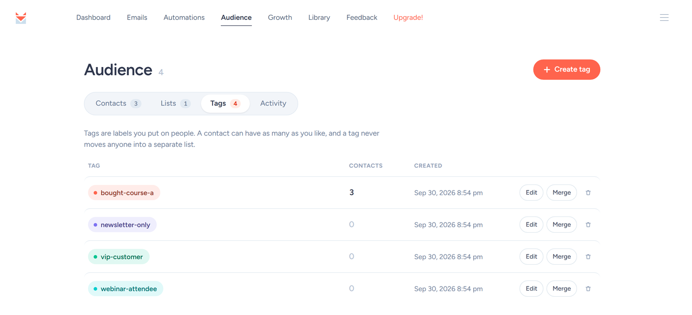 Audience Tags page listing four colored tags with their contact counts