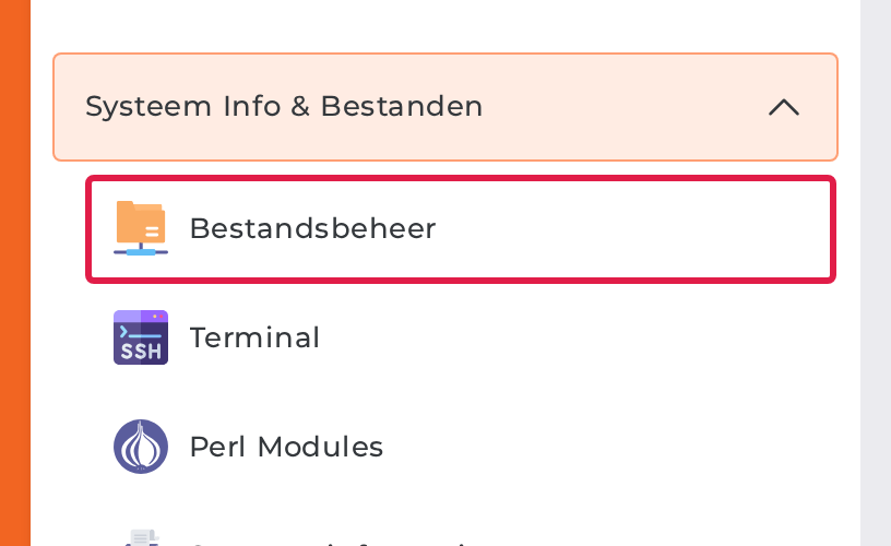 Het menu Systeem Info & Bestanden in DirectAdmin, met Bestandsbeheer omkaderd