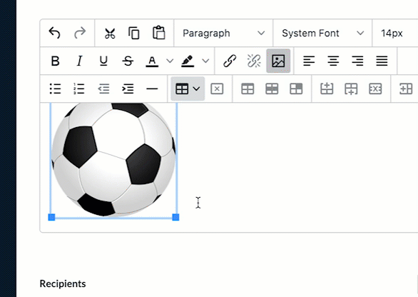 add-images-to-email-messages-teamsnap-playbook