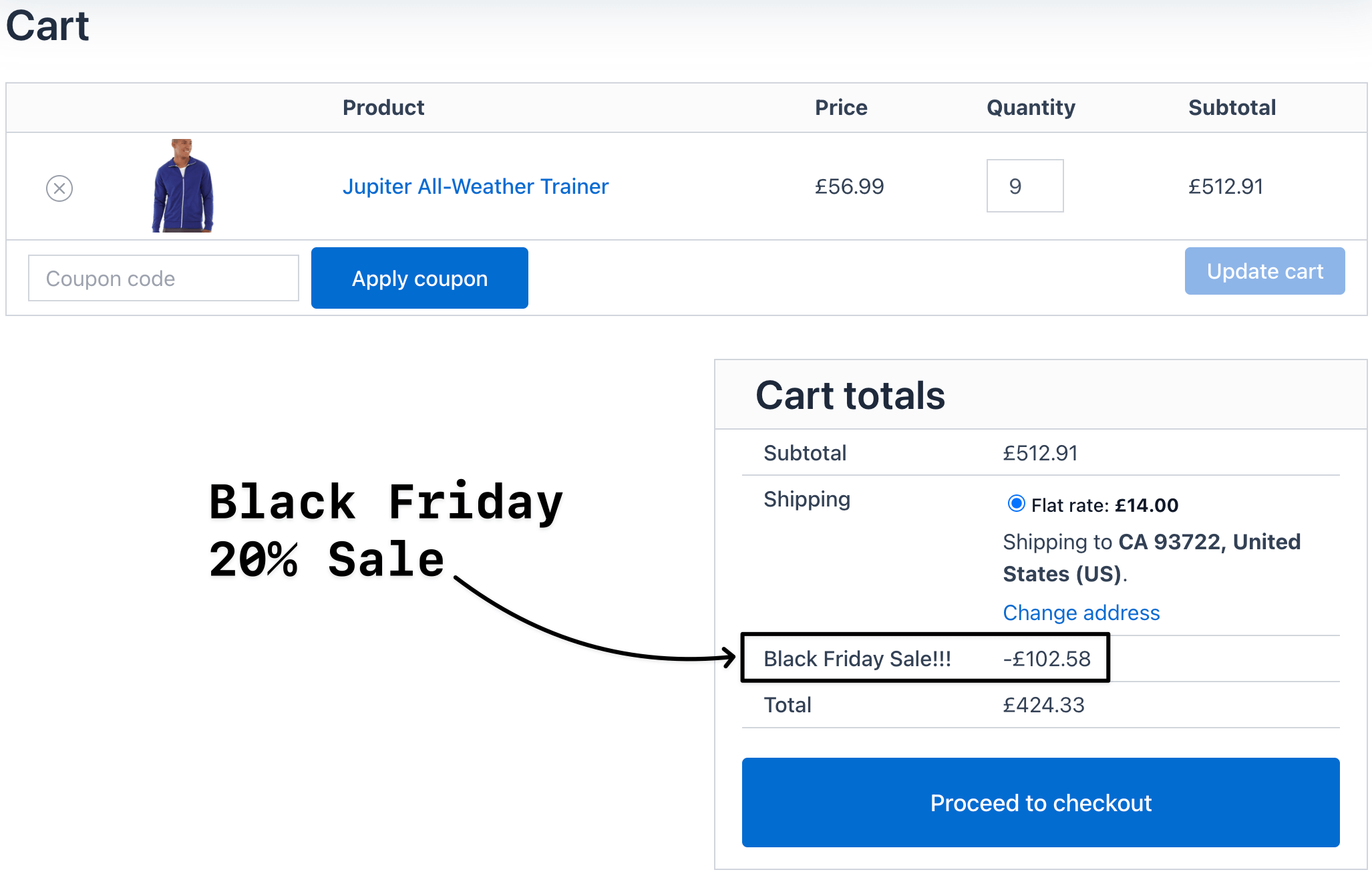 Black Friday sale on checkout