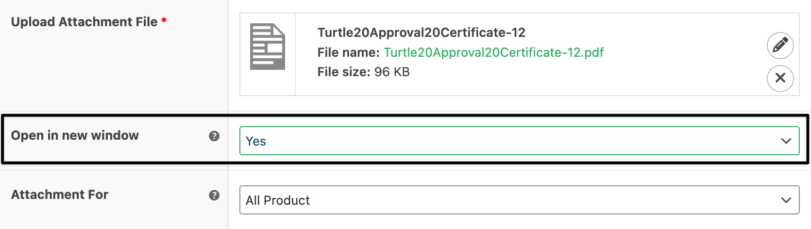 Attachment on new window