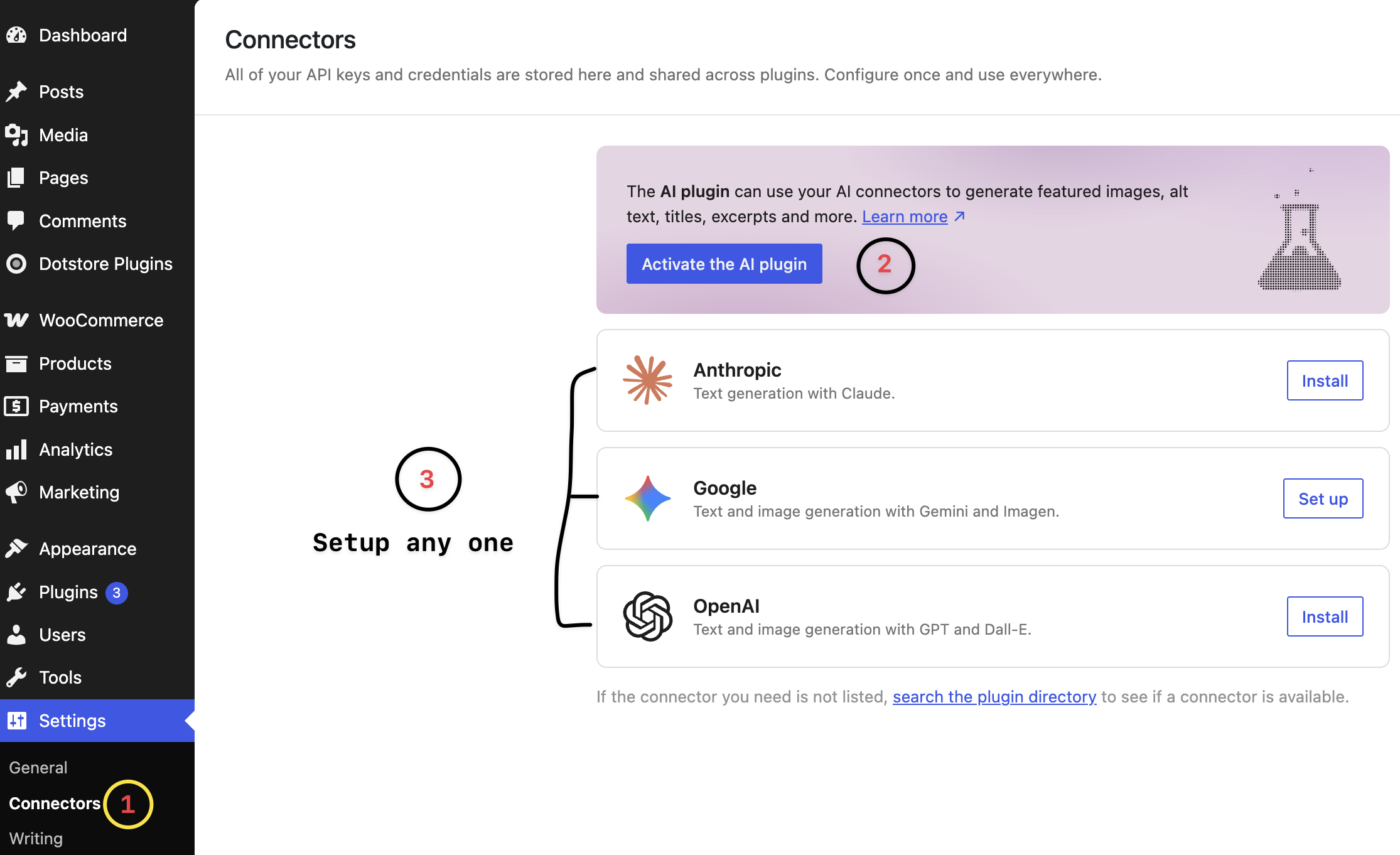 Setup AI plugin and providers