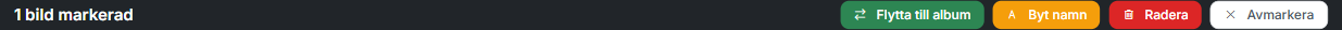 Massåtgärder-verktygsfältet med Flytta, Byt namn, Radera och Avmarkera