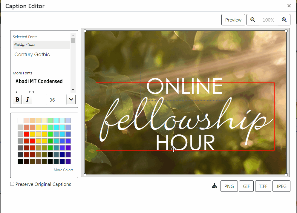 Using the Online Caption Editor ChurchArt Online