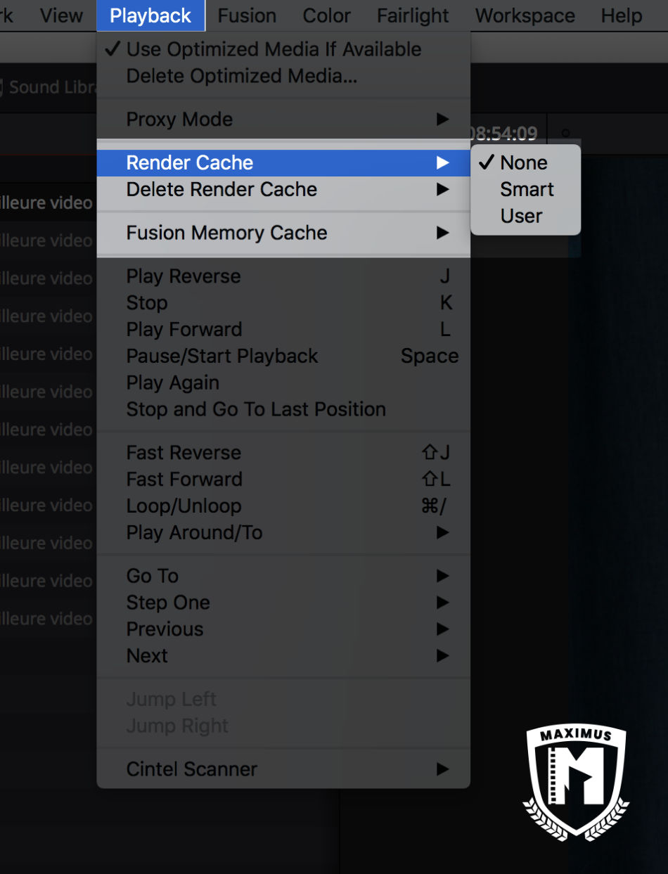 Comment Faire Un Ralenti Sur Davinci Resolve Que faire quand les rendu (Render) ne fonctionne pas sur DaVinci