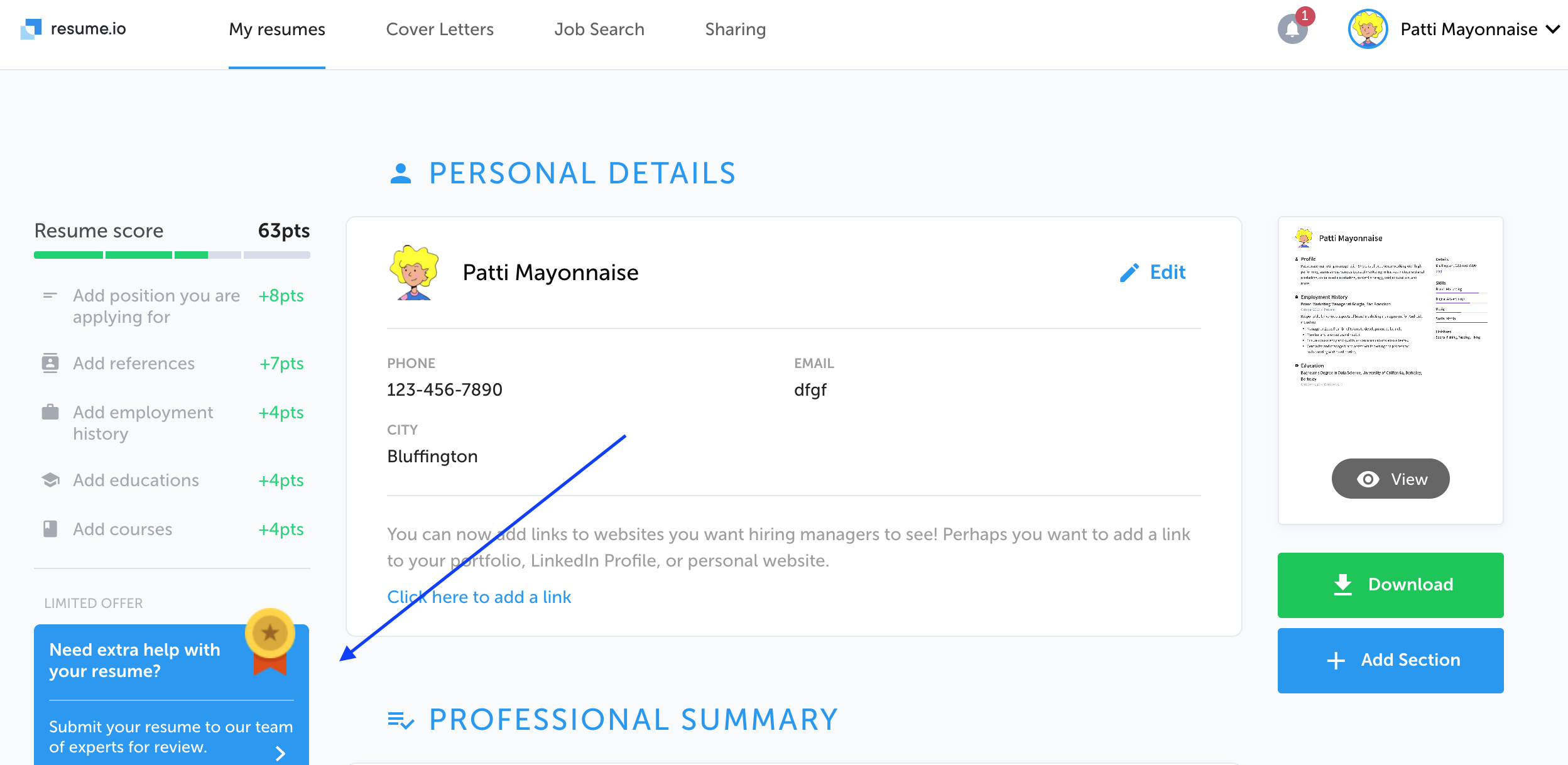 do you write resumes or offer feedback resume io faq