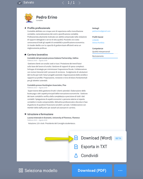 What to include in a resume image