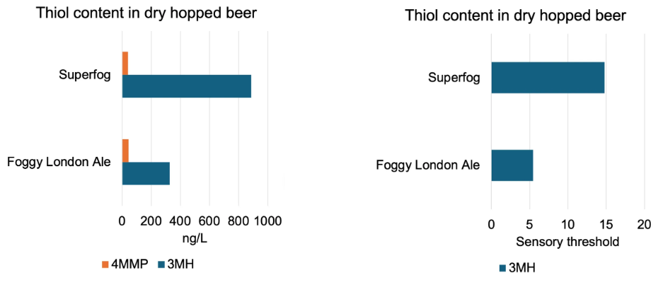 Thiol content in dry hopped beer, comparison of Superfog and Foggy London Ale