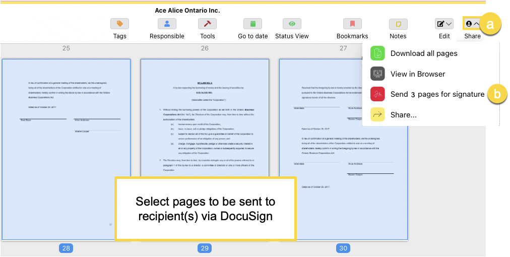 Sending Minute Book Pages for Signature via Docusign MinuteBox Inc. Knowledge Base