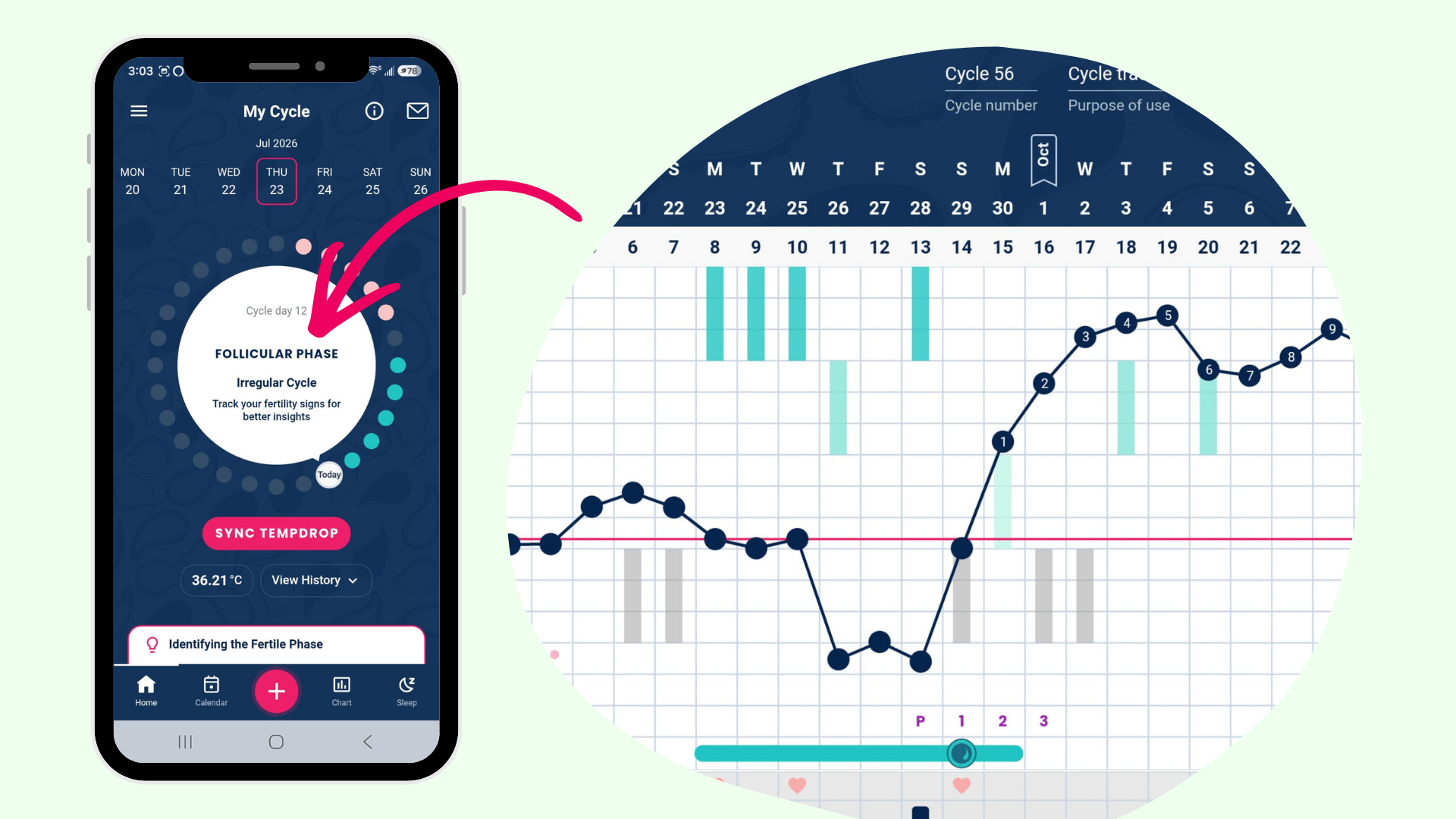 Tempdrop app on phone shows follicular phase (no ovulation confirmed) and the chart image to the right side shows how a confirmed ovulation displays in the app - with a coverline and luteal phase count.