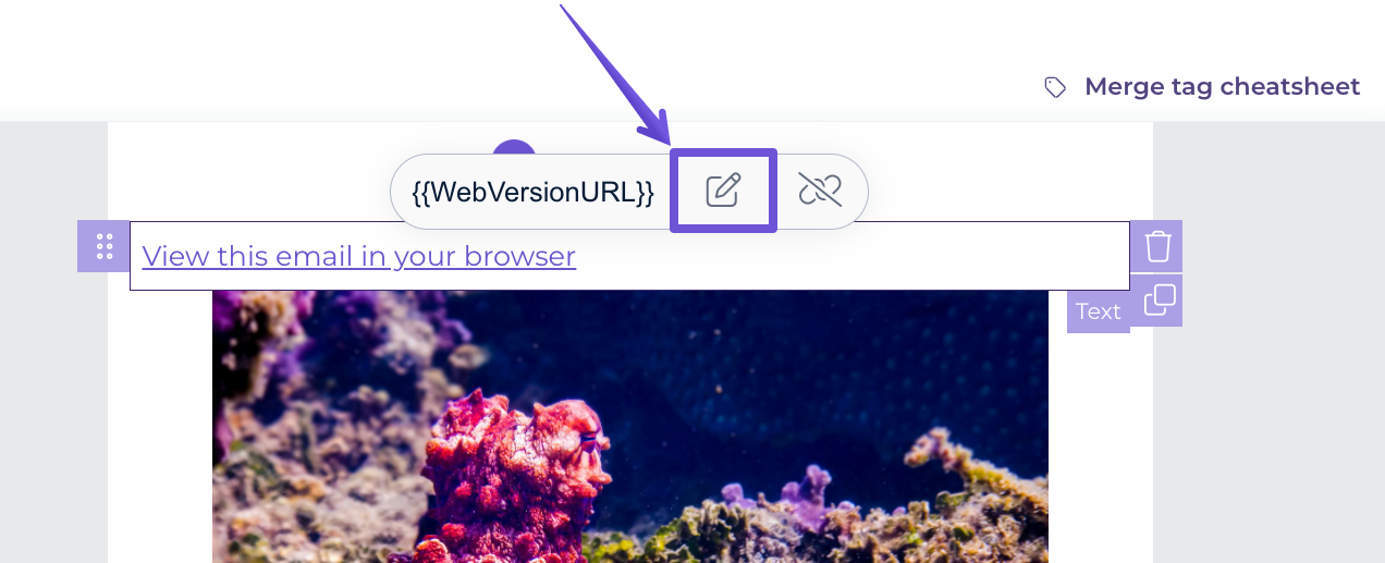 Editing the web version link text