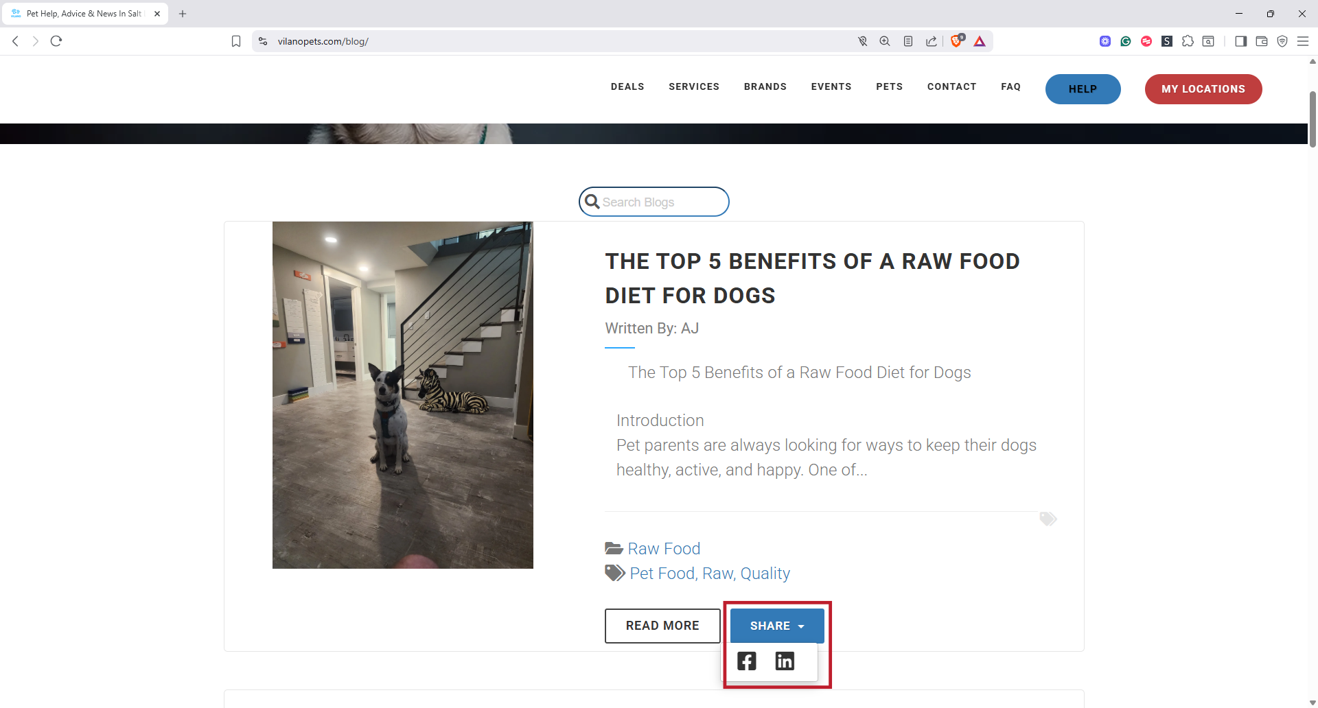 Social Media Share Options
