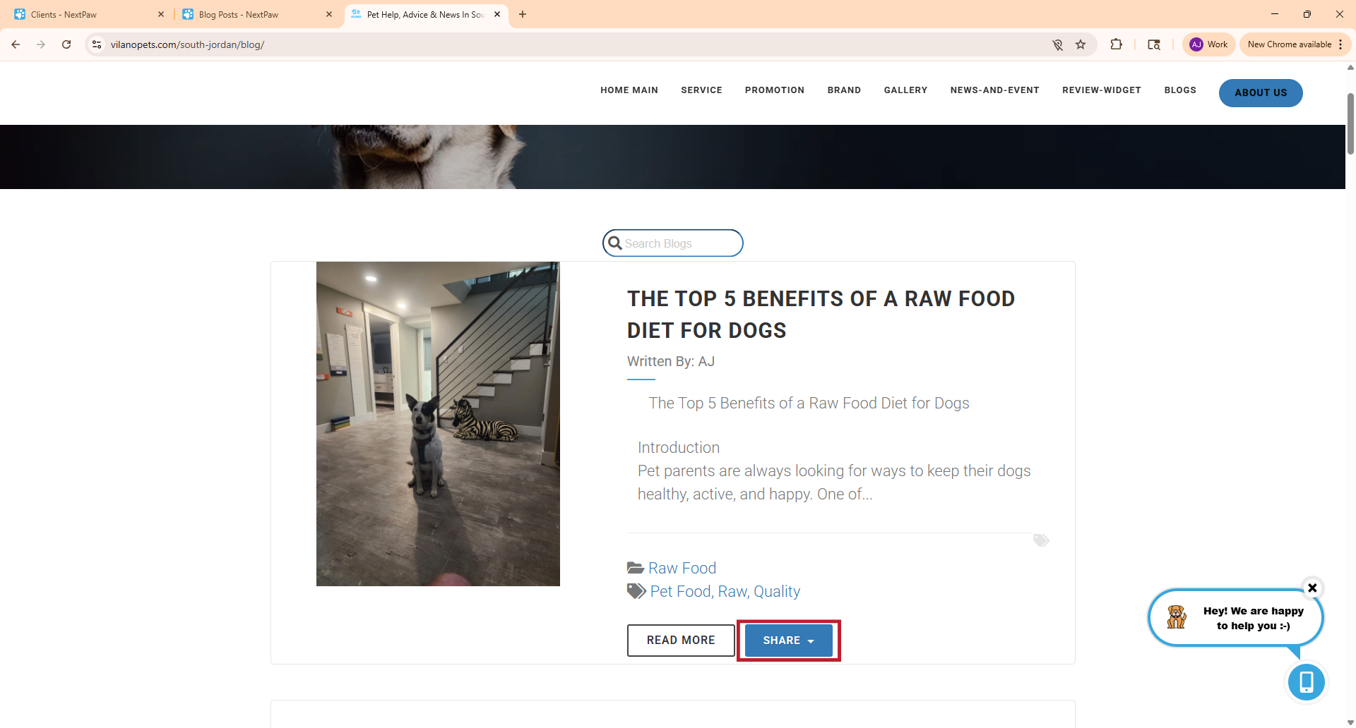 Share blog option