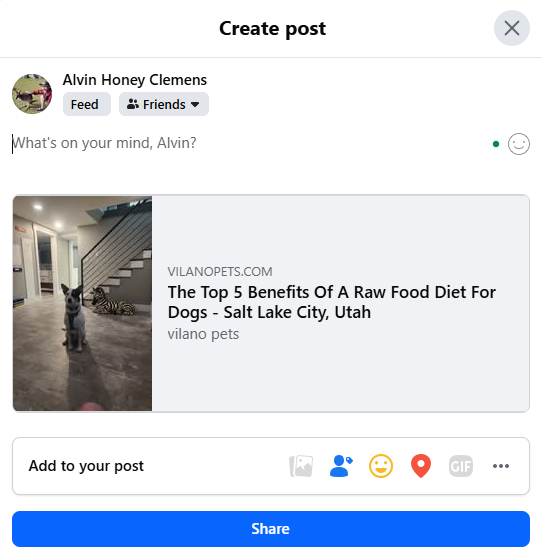 Post preview and message